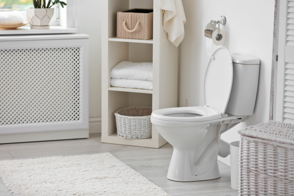 installer toilettes seul